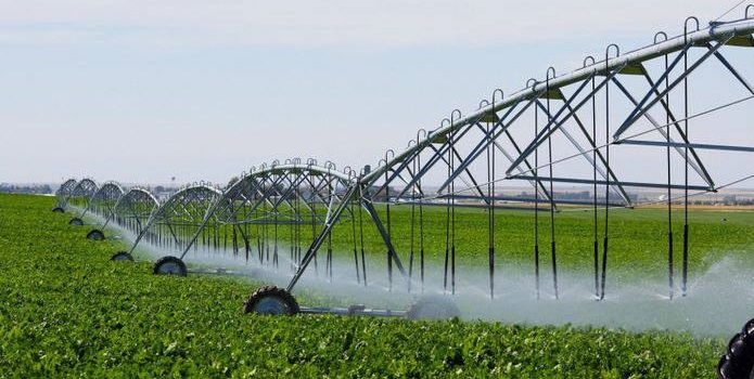 Italien stellt 6 Mio. € für die Bewässerung der Region Odessa bereit — Investition in die Ernährungssicherheit des Südens