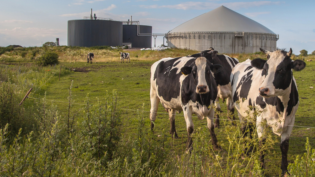 Erstes Jahr des Biomethan-Exports: 11,2 Mio. m³ und wie MHP das energiepolitische Image der Ukraine in der EU stärkt