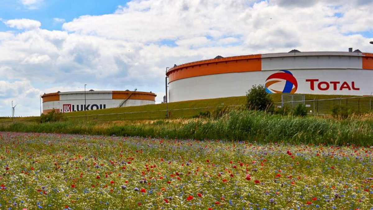 TotalEnergies hat Lukoils Anteil an Zeeland aufgekauft — ein weiterer Schritt zur Verdrängung russischer Unternehmen vom europäischen Markt