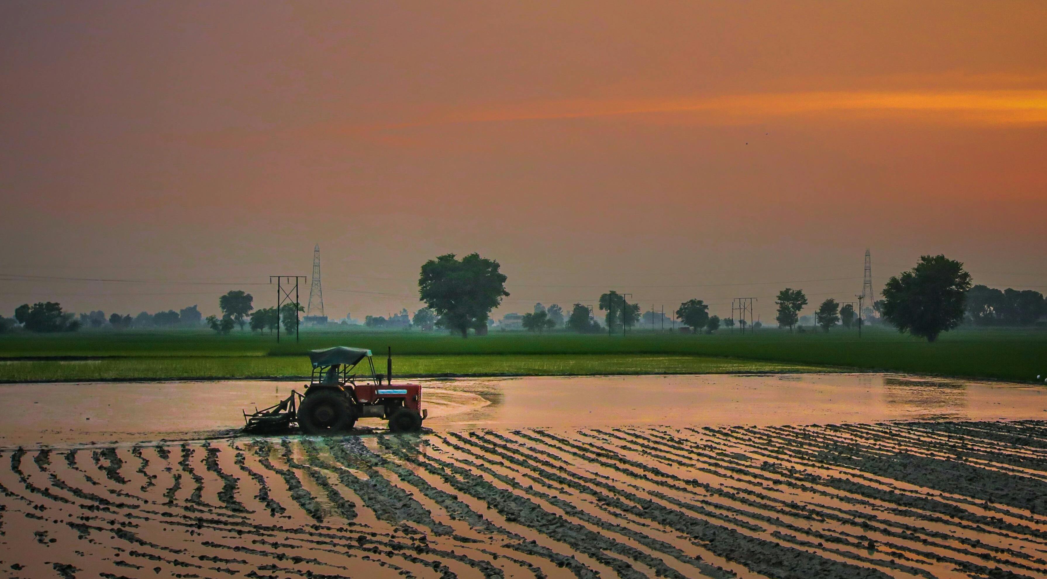 Land-reclamation reform: Rada paves the way for large-scale restoration of irrigation