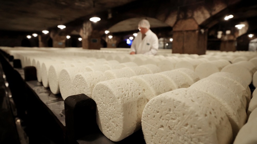 China Lowers Tariffs on European Cheeses: What It Means for the Ukrainian Market