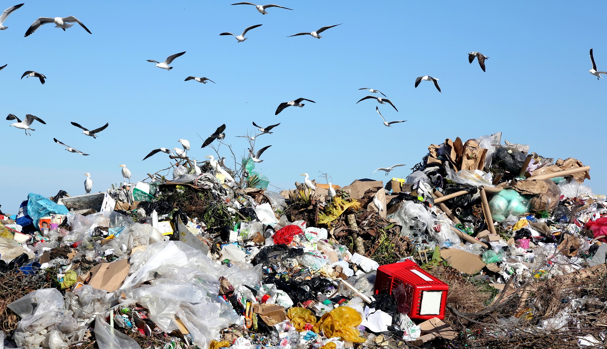 New rules for waste: how changes in waste management will affect communities and bring Ukraine closer to EU standards