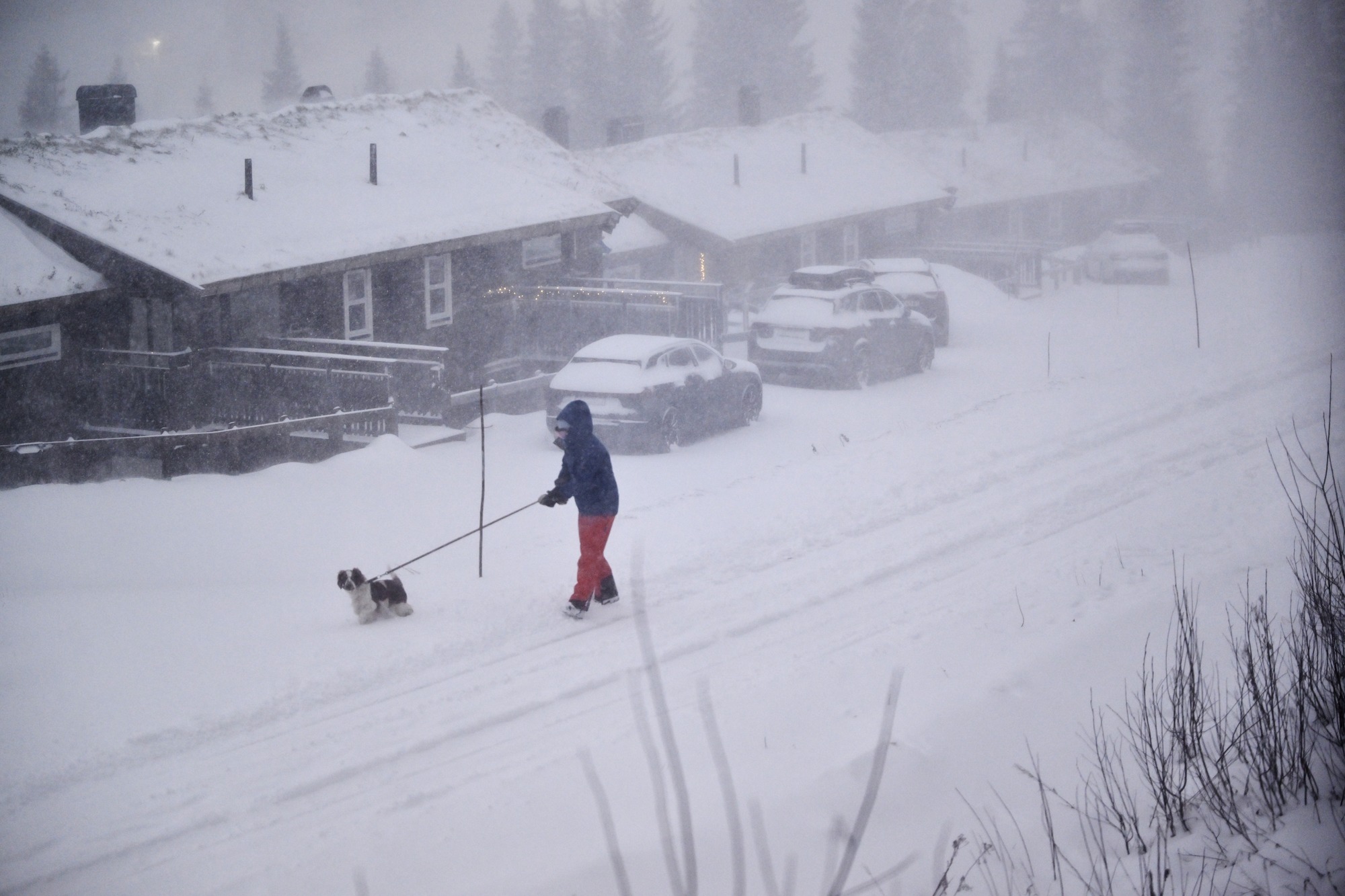 La tempête «Johannes» et les perturbations hivernales aux États-Unis : neige, coupures de courant et des milliers de vols annulés — et maintenant ?