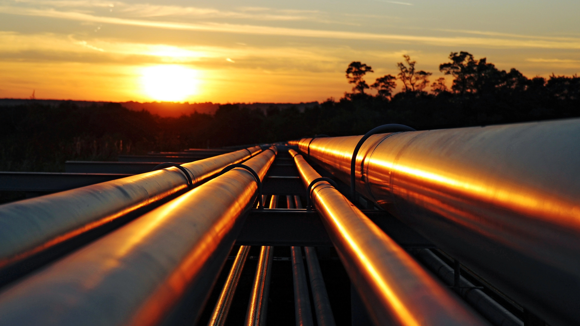 Pipeline Instead of Strait: How Saudi Arabia Earned $24.65 Billion on Closed Hormuz