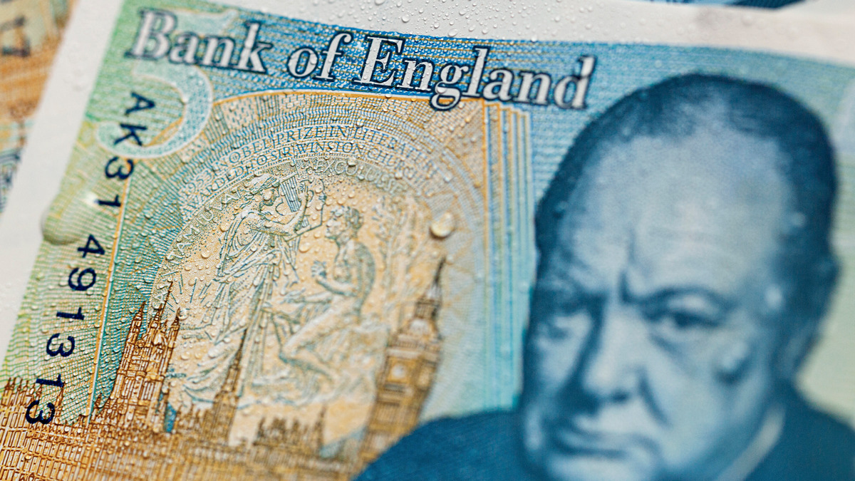 Bank of England swaps Churchill for wildlife — symbolic redesign and its consequences