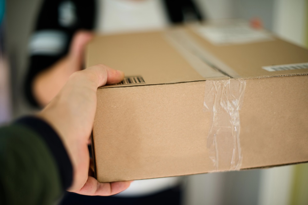 Skorpion in einem Temu-Paket: Fall in Italien zum Lackmustest für Plattform-Sicherheit und Regulierung