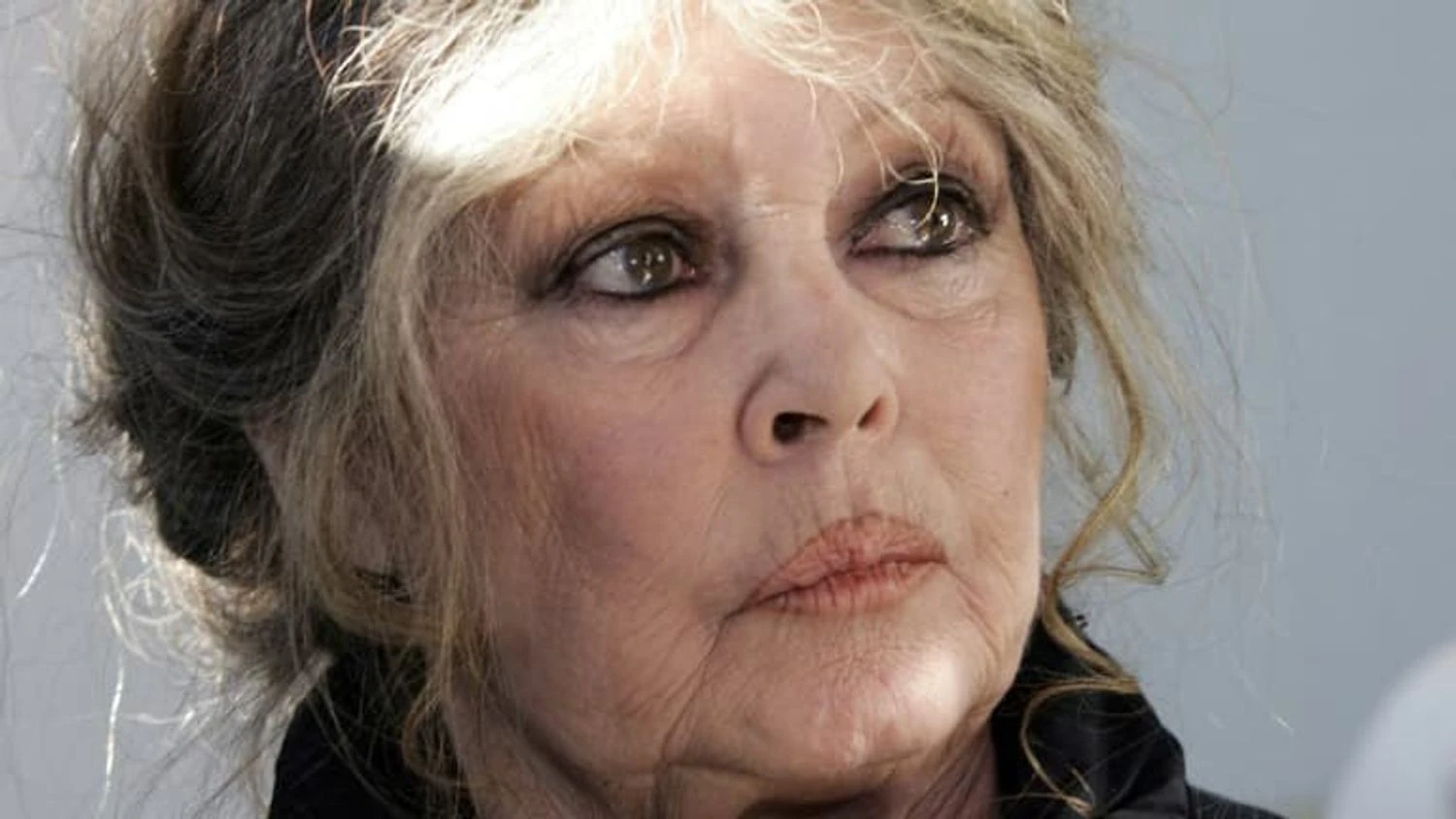 Brigitte Bardot est morte à 91 ans : de l'icône du cinéma à la voix de la protection animale
