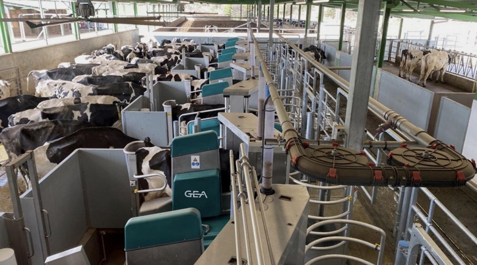 La plus grande ferme robotisée au monde équipée d'un système de « batch milking » sera construite dans la région de Kyiv — qu'est-ce que cela apporte à l'Ukraine ?