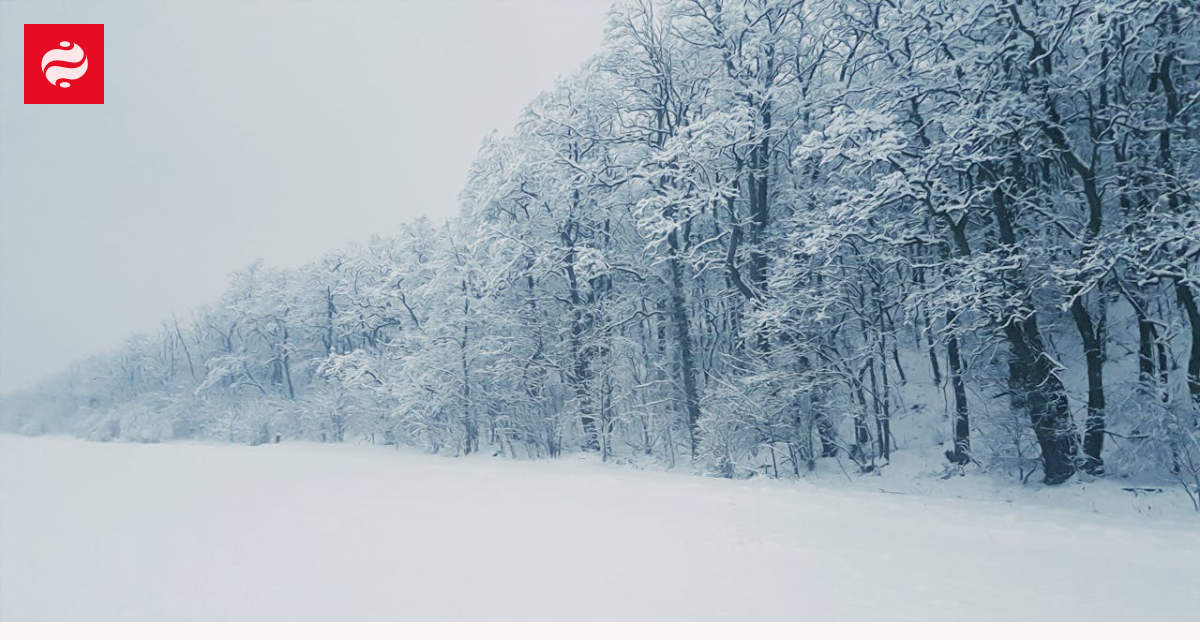Mehr als 100 Fahrzeuge auf I‑196: Wintersturm legt Abschnitt in Michigan lahm — Lehren für die Verkehrssicherheit