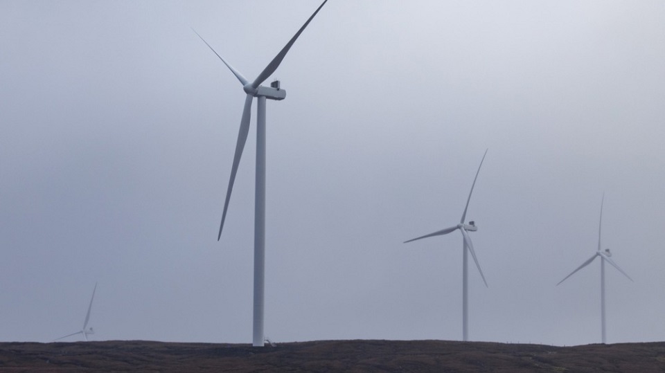 L'empire céréalier de Verevskyi construit des éoliennes près de Kyïv : pourquoi l'agriculteur a-t-il besoin de 112,5 MW près de la capitale