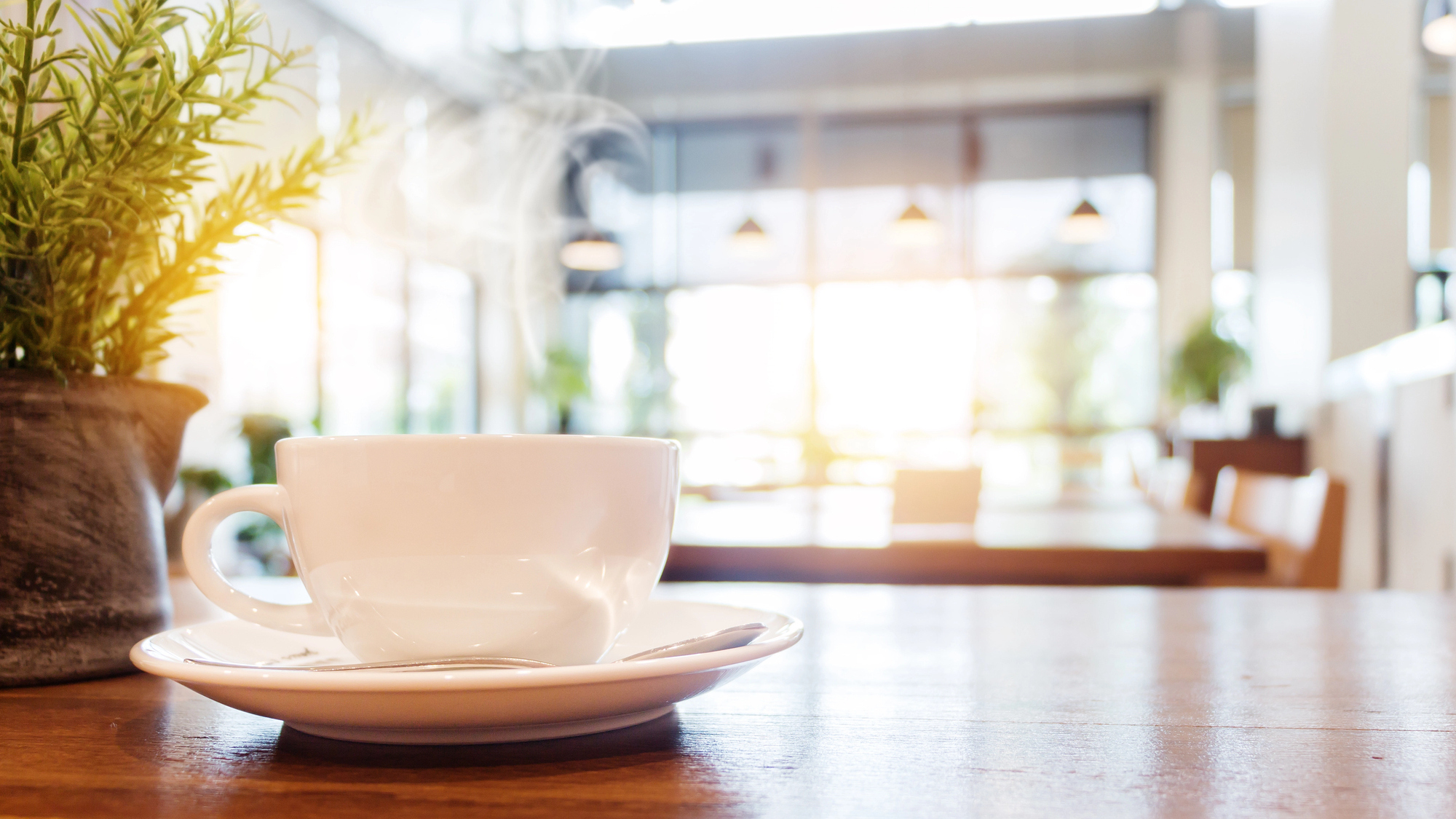 Nachfrage nach Cafélokalen zur Miete in Lwiw ist um 45% pro Quartal gestiegen — aber die Vorkriegswerte sind noch nicht erreicht