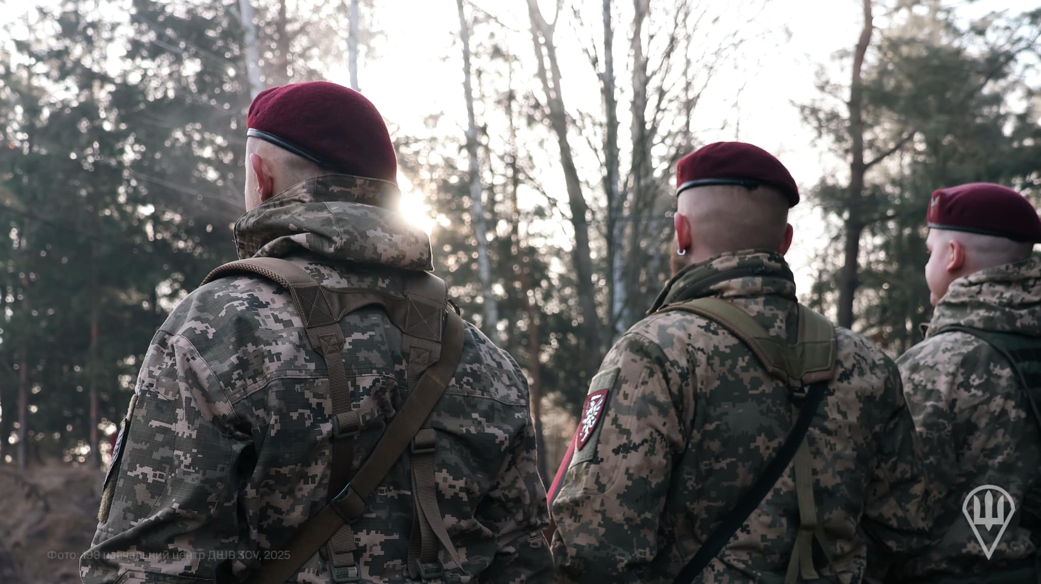 Air Assault Forces in the south: over 300 sq km and eight settlements liberated on the Oleksandrivka axis