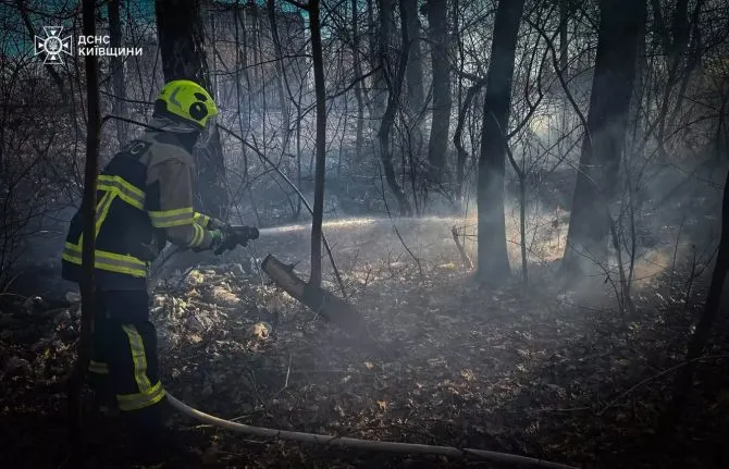 Region Kiew: Brände trockener Vegetation nehmen zu — Risiko für Dörfer und die Ressourcen der Rettungskräfte