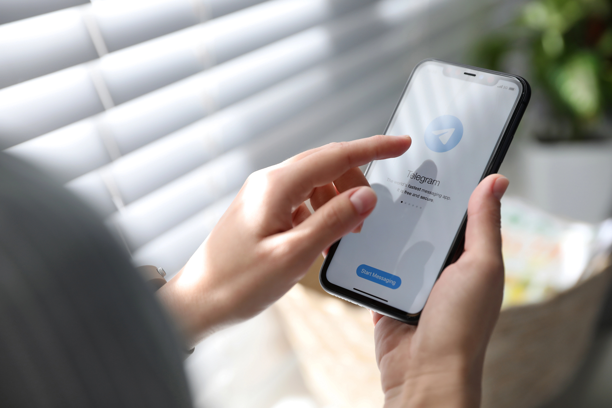 Störung bei Telegram: Webversion nicht verfügbar — was das für die Kommunikation in der Ukraine bedeutet